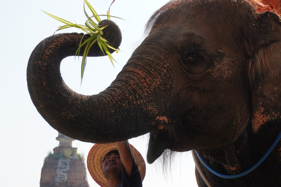 当院のオンライン診療について