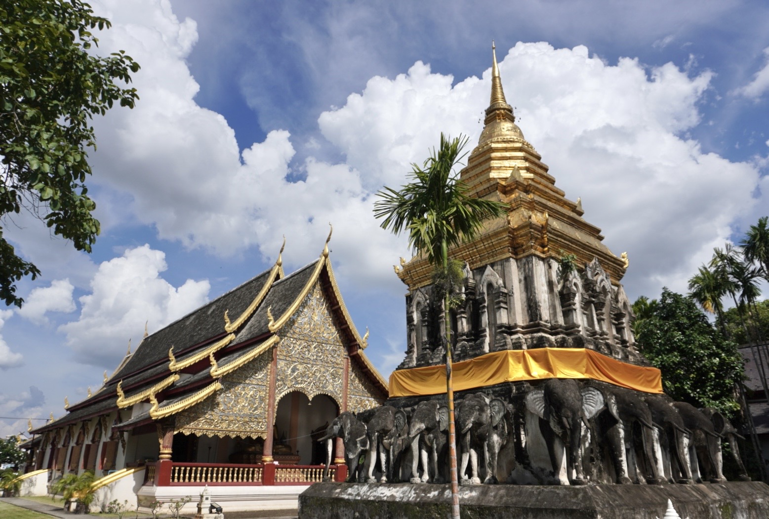 こんな症状に気をつけて