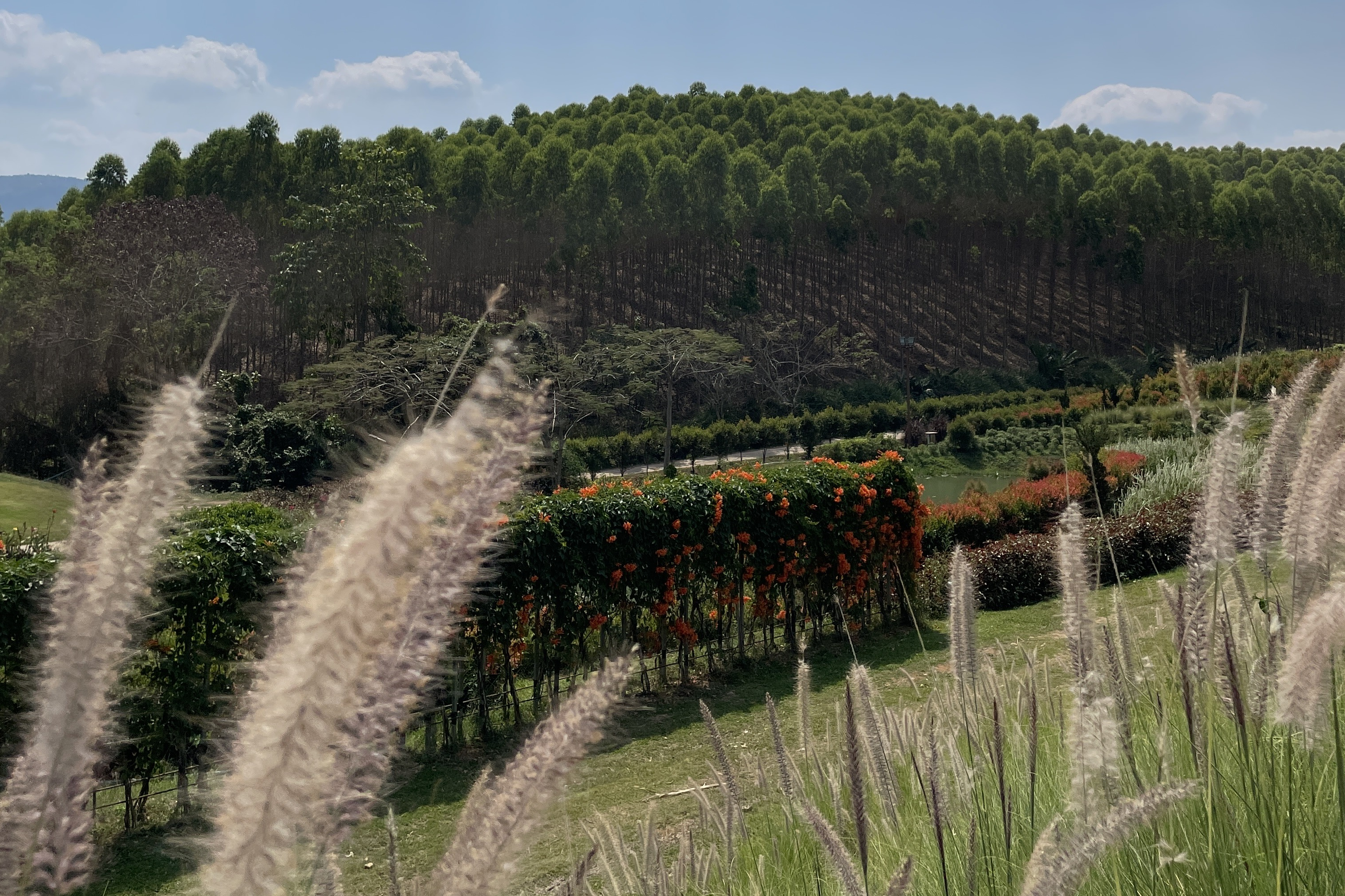 こんな症状に気をつけて